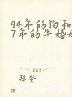 94年的狗和97年的牛婚姻怎么样