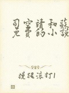 司空靖和苏月汐免费的小说笔趣阁