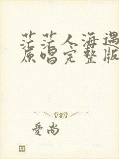 茫茫人海遇见你原唱完整版