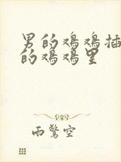 男的鸡鸡插进女的鸡鸡里封面