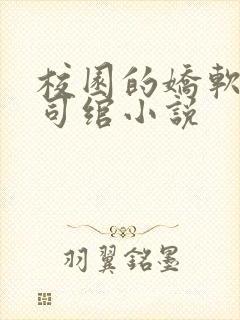 校园的娇软美人司绾小说