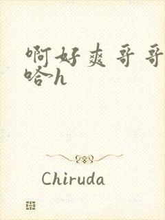 啊好爽哥哥嗯啊哈h封面