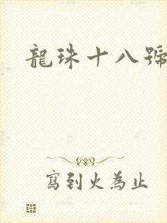 龙珠十八号动漫