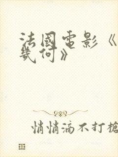 法国电影《爱我几何》