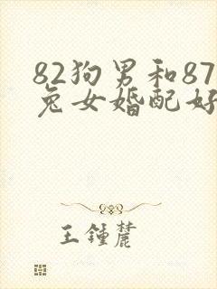 82狗男和87兔女婚配好吗