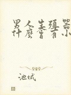 男人生殖器里为什么会有小肉粒