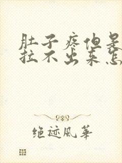 肚子疼但是拉屎拉不出来怎么办封面