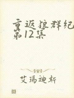 重返狼群纪录片第12集