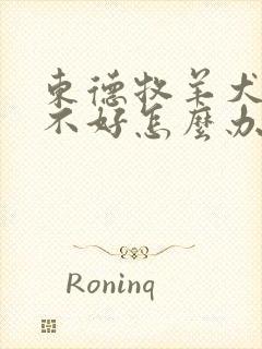 东德牧羊犬食欲不好怎么办