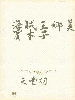 海贼王娜美和罗宾本子封面