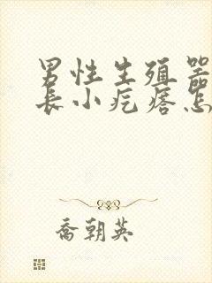 男性生殖器根部长小疙瘩怎么回事