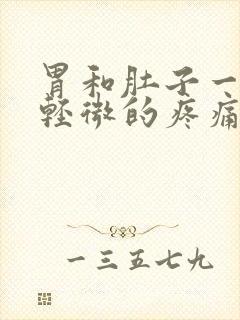 胃和肚子一直有轻微的疼痛感