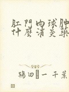 肛门肉球肿痛用什么消炎药好