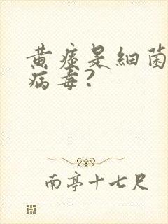 黄痰是细菌还是病毒?