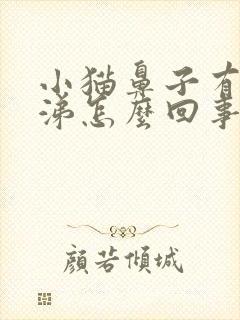 小猫鼻子有黄鼻涕怎么回事