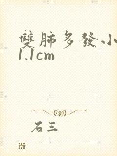 双肺多发小结节1.1cm