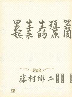 男生生殖器硬不起来的原因