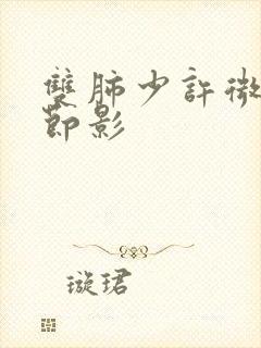 双肺少许微小结节影