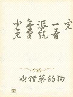 少年派一完整版免费观看