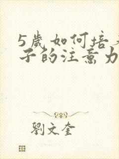 5岁如何培养孩子的注意力不集中