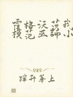 霍格沃茨我真是模范巫师小说