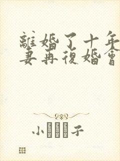 离婚了十年的夫妻再复婚会幸福吗?封面