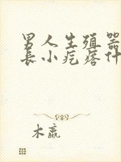 男人生殖器上面长小疙瘩什么原因