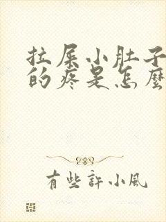 拉屎小肚子下坠的疼是怎么回事