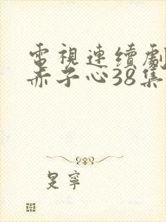 电视连续剧天涯赤子心38集