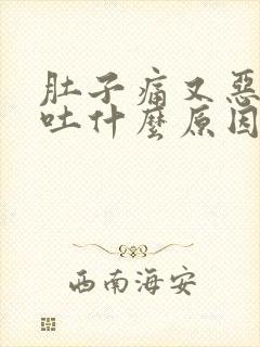 肚子痛又恶心想吐什么原因?