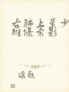 右肺上叶少许纤维条索影