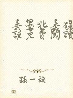 秦墨北秦砚西小说免费阅读