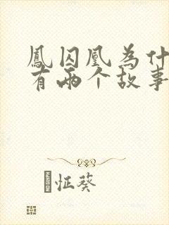 凤囚凰为什么会有两个故事