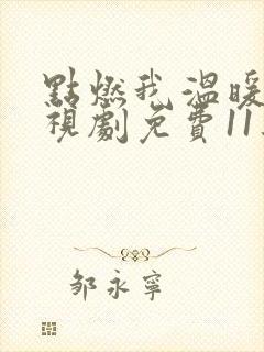 点燃我温暖你电视剧免费11集封面