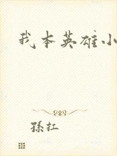 我本英雄小说
