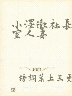 小泽彻社长办公室人妻