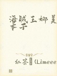 海贼王娜美同人本子