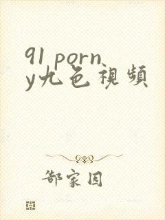 91 porny九色视频