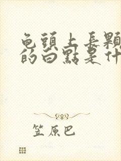 龟头上长颗粒状的白点是什么封面