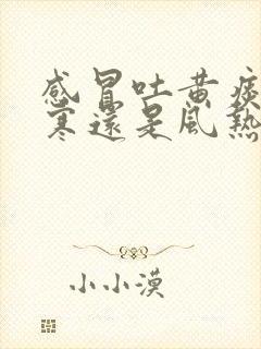 感冒吐黄痰是风寒还是风热