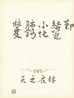 双肺小结节样影及钙化灶