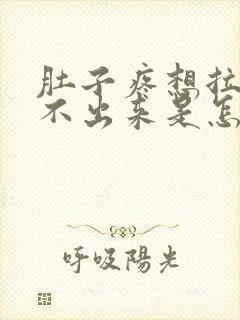 肚子疼想拉屎拉不出来是怎么回事