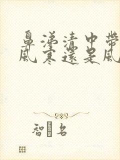 鼻涕清中带黄是风寒还是风热