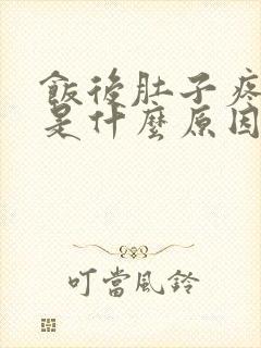 饭后肚子疼呕吐是什么原因