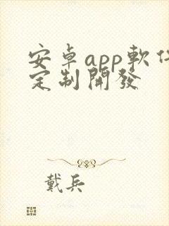 安卓app软件定制开发