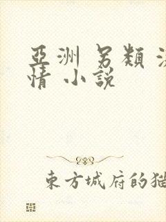 亚洲 另类 激情 小说封面