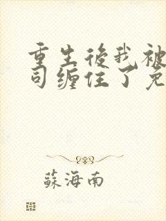 重生后我被前上司缠住了免费阅读