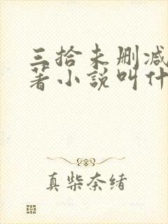 三拾未删减版原著小说叫什么