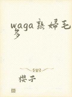 waga熟妇毛多封面