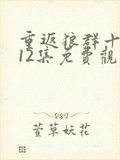 重返狼群十周年12集免费观看